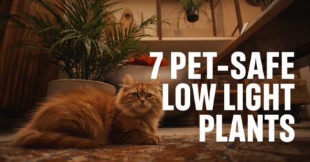 7 Non-Toxic Low Light Plants Safe for Cats and Dogs (2026 List)