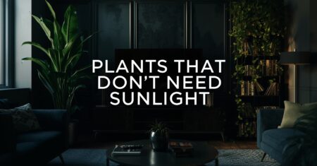Plants That Don’t Need Sunlight: The 2026 Truth About Gardening in the Dark
